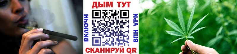 Марихуана семена  Каргат 